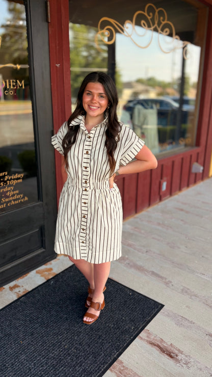 "Winnie" Striped Button Up Mini Dress (Multiple Colors)