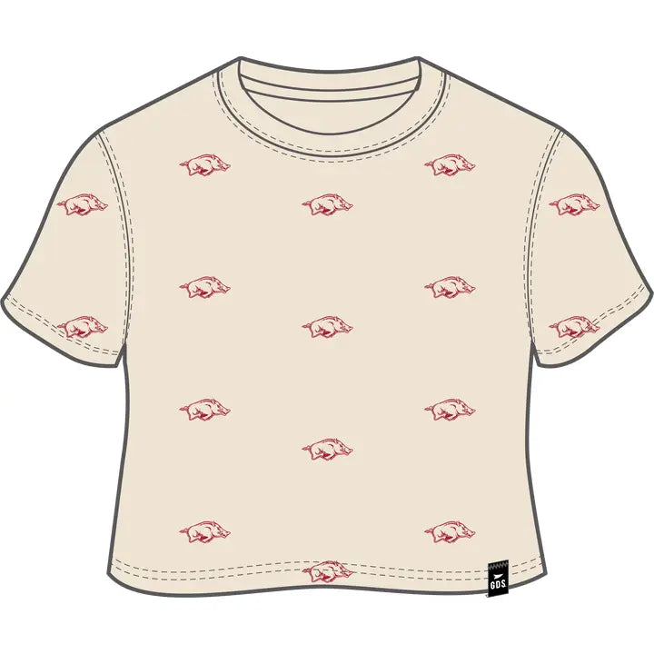 Arkansas Ritter Multi Color Heavyweight Crop Tee
