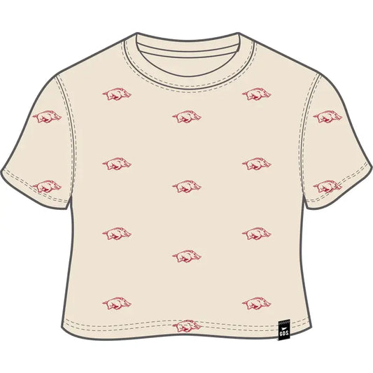 Arkansas Ritter Multi Color Heavyweight Crop Tee