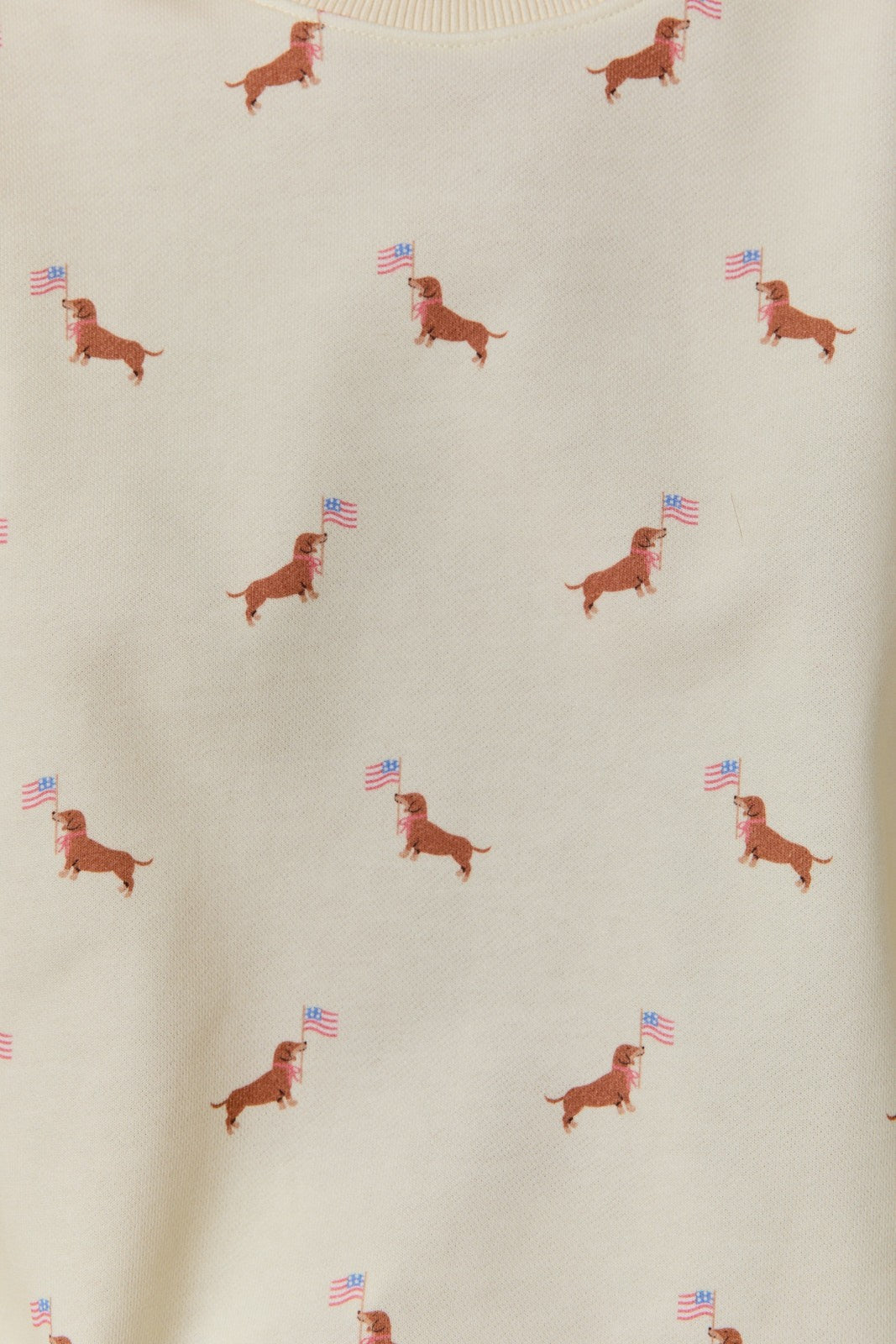 "In Weenie We Trust" Patriotic Dachshund Set