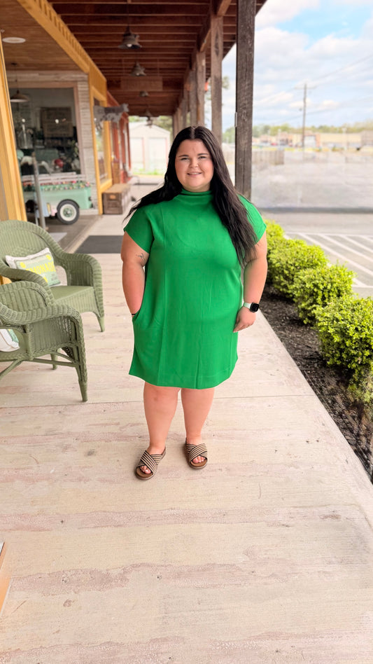 "Brinkley" mock neck curvy mini dress