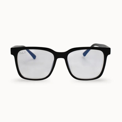 DAX Sunglasses (Multiple Variants)