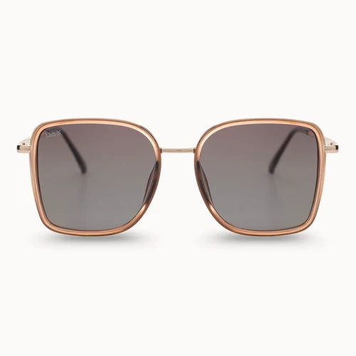 DAX Sunglasses (Multiple Variants)