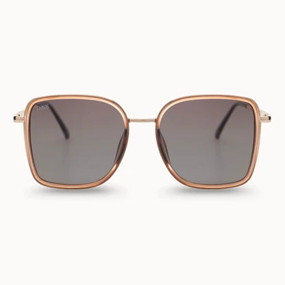 DAX Sunglasses (Multiple Variants)