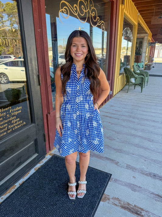 "Chrissi" Gingham Embroidered Mini Dress