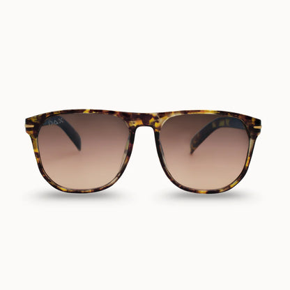 DAX Sunglasses (Multiple Variants)