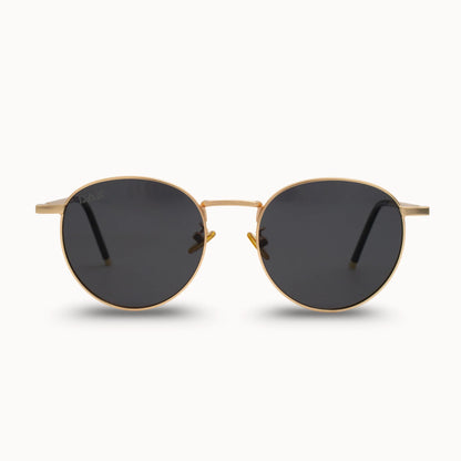 DAX Sunglasses (Multiple Variants)